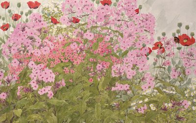 Pink Phlox and Poppies with a Butterfly by Linda Benton